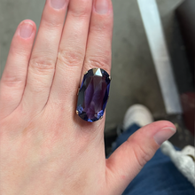 Load image into Gallery viewer, Big Purple