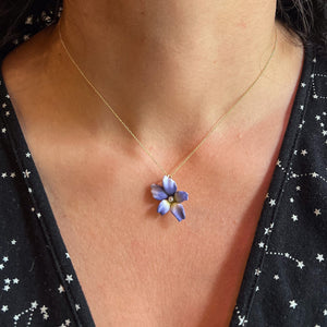 Tender Violet