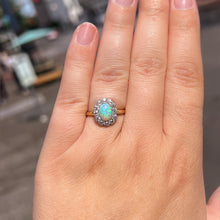 Load image into Gallery viewer, Rainbow Sparkles
