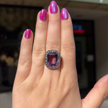 Load image into Gallery viewer, Sugar Plum
