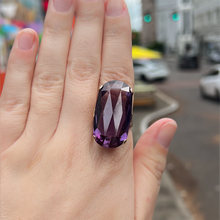 Load image into Gallery viewer, Big Purple
