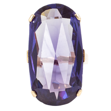 Load image into Gallery viewer, Big Purple

